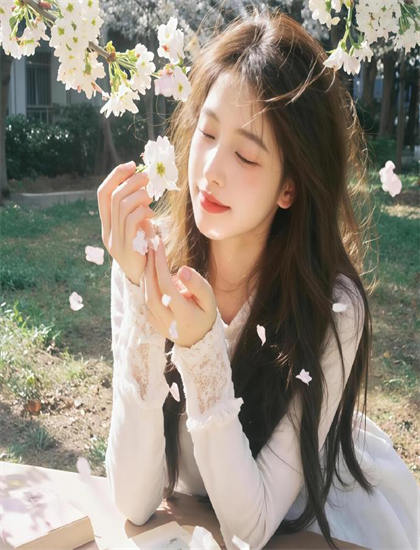 摄影师视觉语言解读纪录片《东京狗》细节的精心设计与隐藏寓意 【技术成就评价】